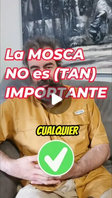 La mosca elegida no es importante...