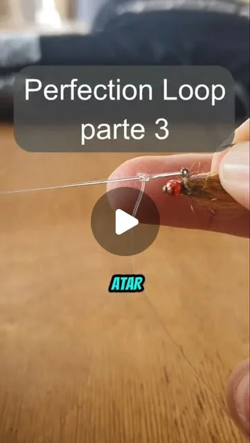Último video sobre Perfection Loop.