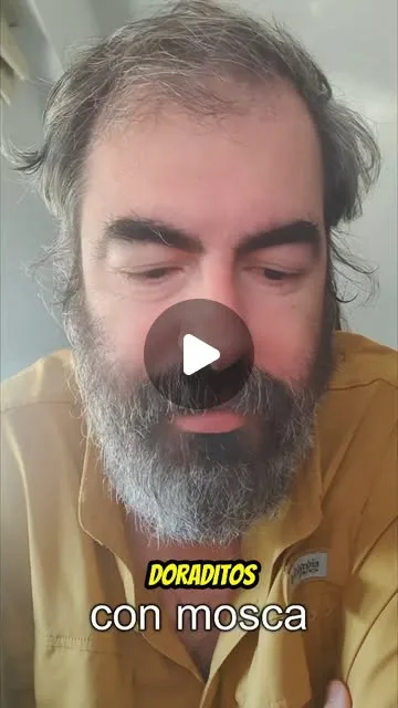 Video respuesta, cómo "comen" los dorados (aplica obvio a otras especies cazadoras, en mayor o menor medida).