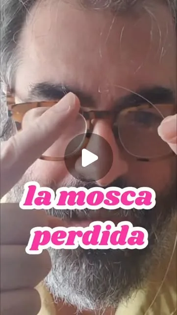 Crónica de la mosca perdida...