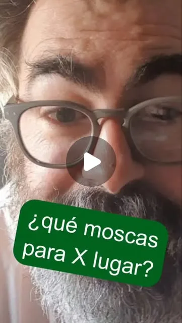 ¿Cómo elijo mis moscas cuando voy al fly shop a comprar?