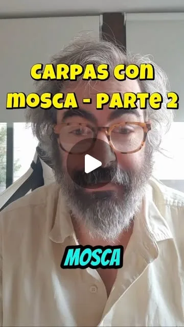 Parte 2 de Carpas con Mosca.