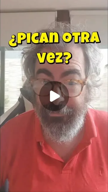 ¿es cierto que los pescados tienen solo unos pocos segundos de memoria y luego se olvidan de nuestro anzuelo?.