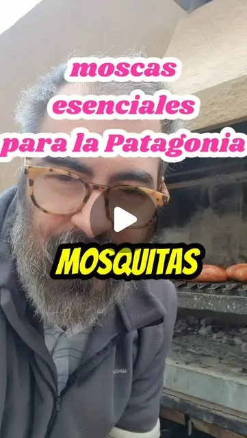 Algunas #moscas esenciales para la Patagonia.