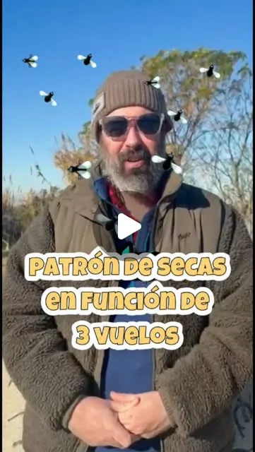 Moscas secas en función de 3 vuelos típicos.