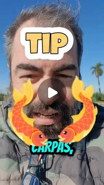 Tip rápido para mosquear Carpas...